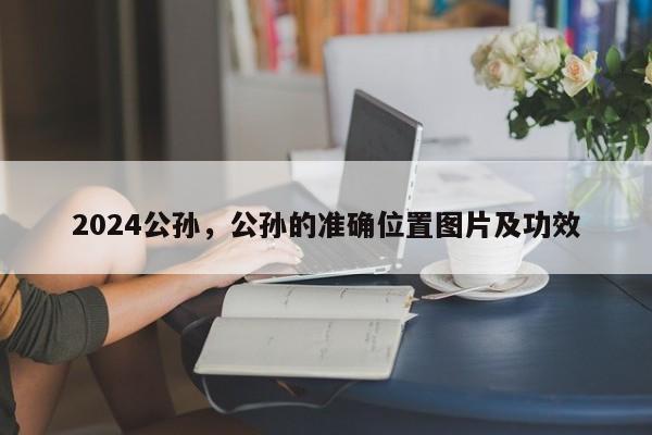 2024公孙，公孙的准确位置图片及功效