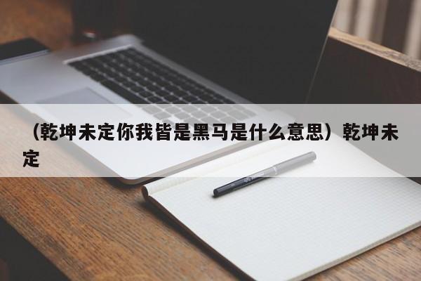 （乾坤未定你我皆是黑马是什么意思）乾坤未定