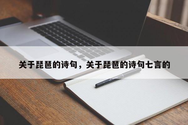 关于琵琶的诗句，关于琵琶的诗句七言的